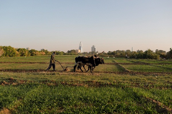 Sudan “dung ngoi khong yen” vi sieu dap 5 ty USD Dai Phuc Hung-Hinh-2