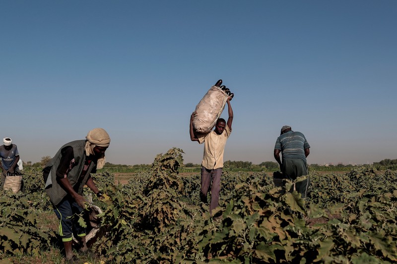 Sudan “dung ngoi khong yen” vi sieu dap 5 ty USD Dai Phuc Hung-Hinh-4