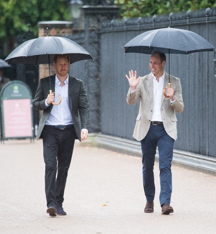 Anh em Hoang tu William-Harry dien trai trong moi khoanh khac-Hinh-11