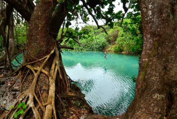 Su that bat ngo ve quoc dao Vanuatu co the ban chua biet-Hinh-11