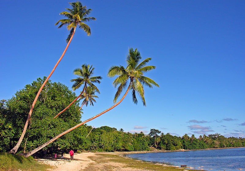 Su that bat ngo ve quoc dao Vanuatu co the ban chua biet-Hinh-4