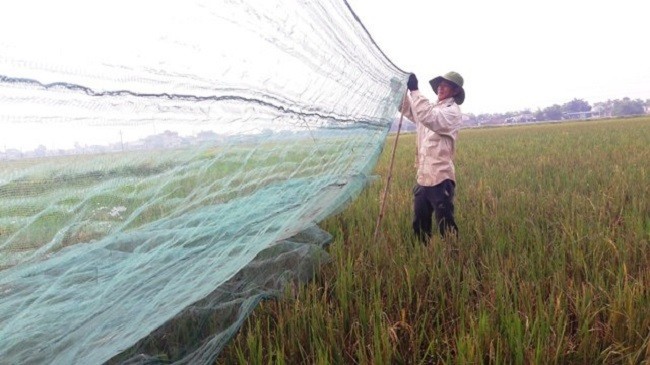 3 thu loc troi cu den mua la xuat hien, kiem tien trieu/ngay-Hinh-2