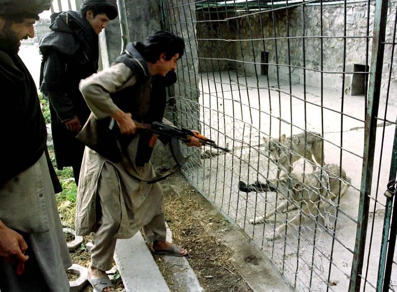 Hinh anh luc luong Taliban cai tri Afghanistan giai doan 1996-2001-Hinh-4