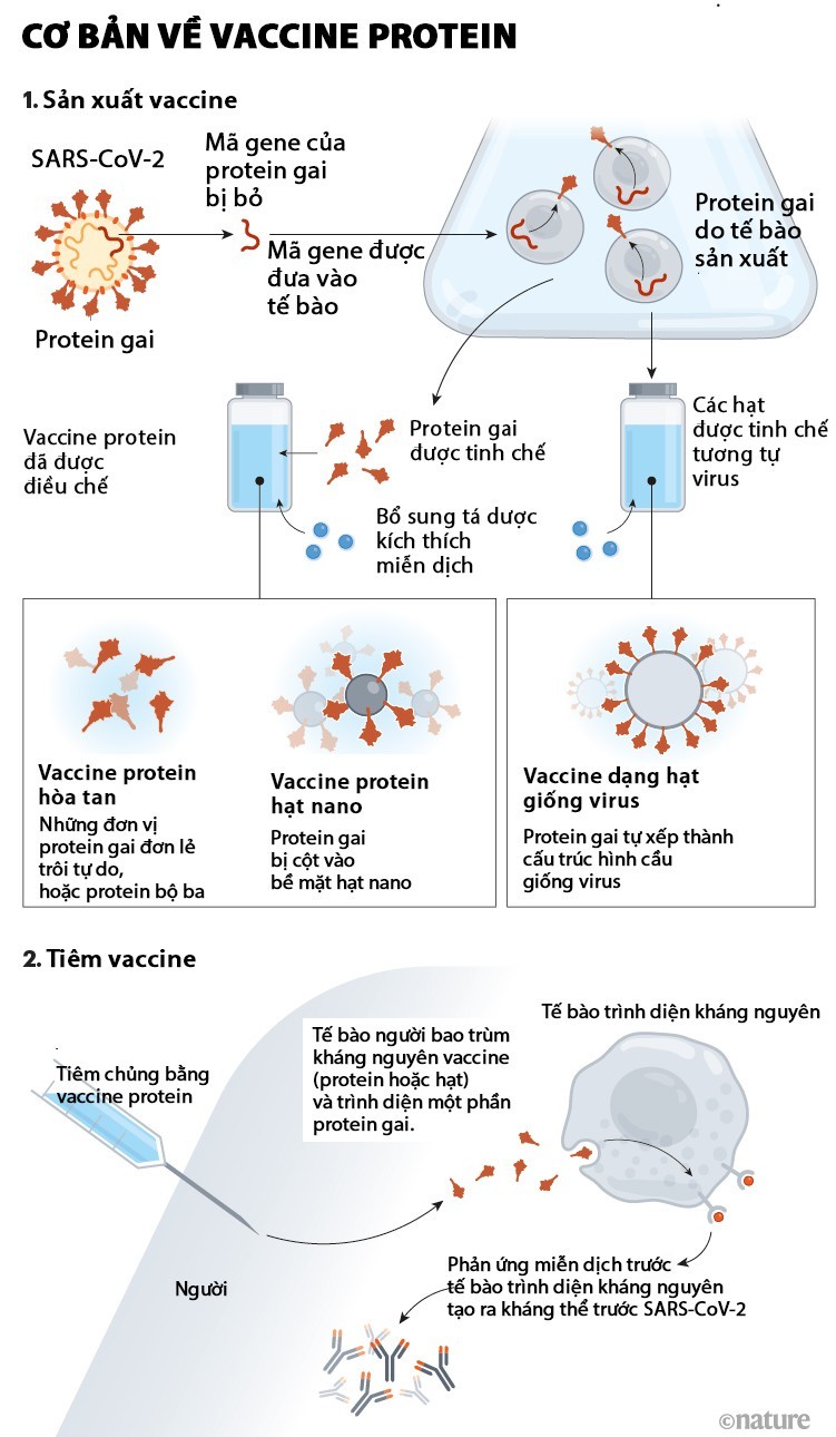 Novavax phat trien vaccine chong bien chung Omicron