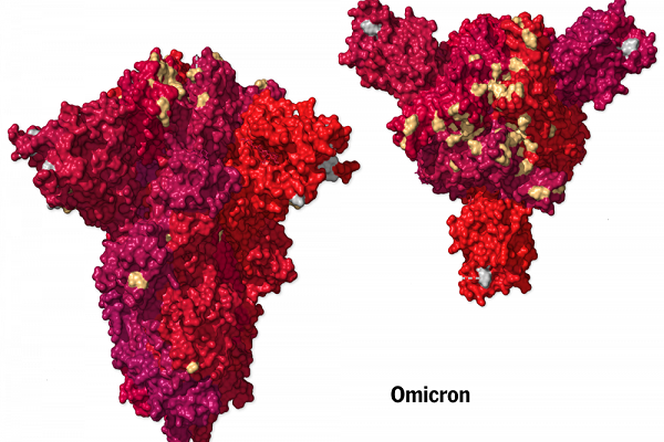 Omicron co the “qua mat” Delta, thanh bien chung thong tri toan cau?