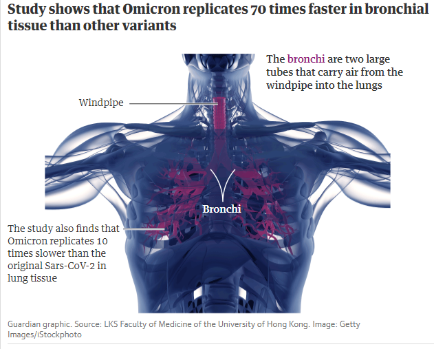 Vi sao Omicron co the de lay hon Delta nhung it gay benh nang?