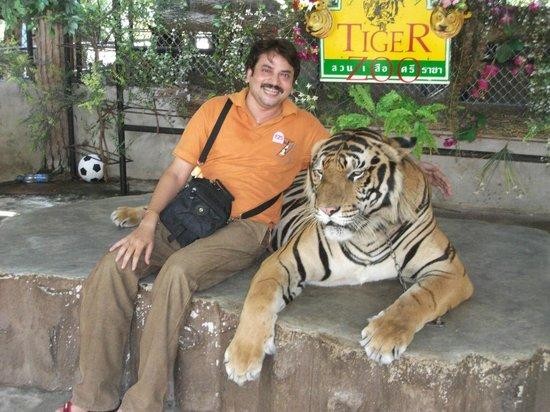 Doc dao trai ho Sriracha Tiger Zoo - lon nhat chau A-Hinh-5