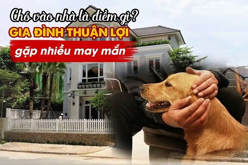 Dau nam gap 5 diem lanh nay trong nha du bao loc ve cang vi