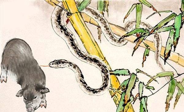 Xung ca tuoi lan menh, 5 cap con giap lay nhau kho ca doi-Hinh-5