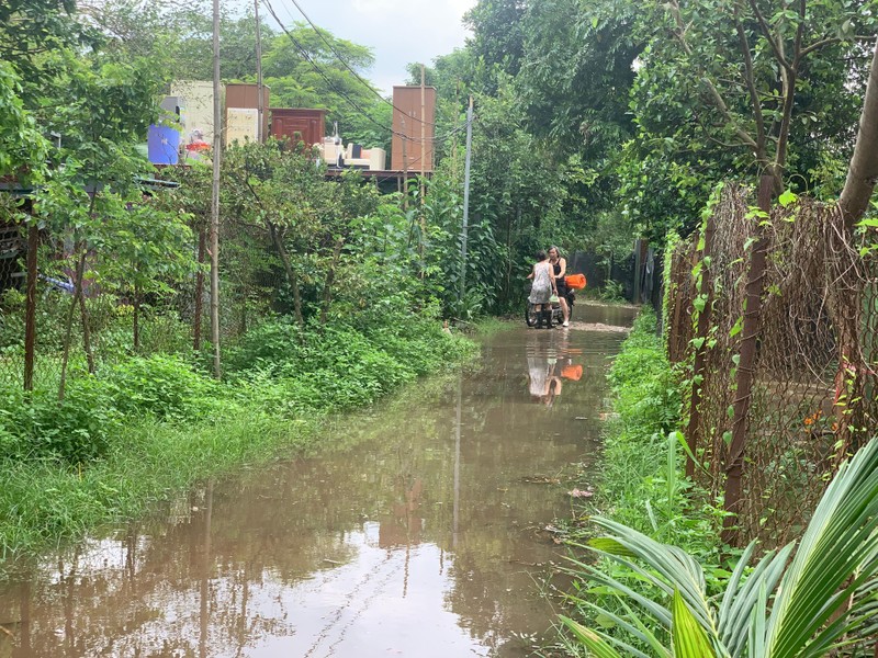 Thuy dien Hoa Binh xa lu, bai giua song Hong ngap sau-Hinh-12