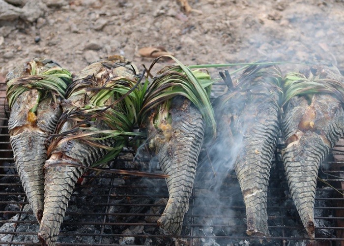 Ca lau kieng co an duoc khong?-Hinh-2