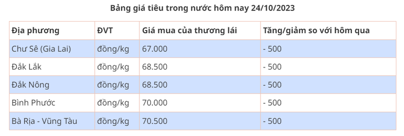 Gia tieu hom nay 24/10/2023: Giam 500 dong/kg