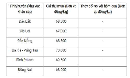 Gia tieu hom nay 28/10: On dinh, cao nhat 70.000 dong/kg