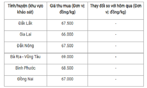 Gia tieu hom nay 31/10: On dinh, cao nhat 69.000 dong/kg