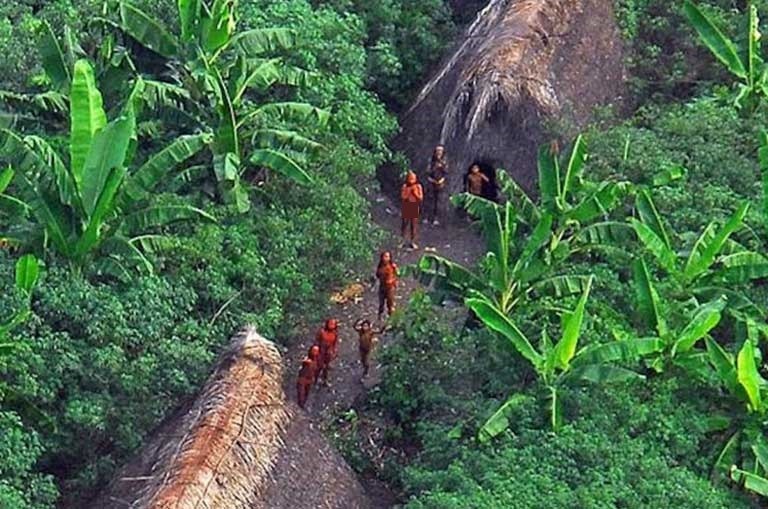 To mo cuoc song 6 bo toc biet lap nhat hanh tinh-Hinh-7