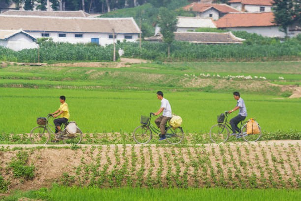View - 	Kinh ngạc cảnh bình dị về cuộc sống ở thôn quê Triều Tiên 