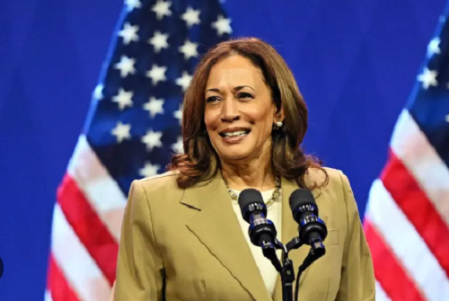 Su nghiep an tuong cua Pho Tong thong My Kamala Harris-Hinh-6