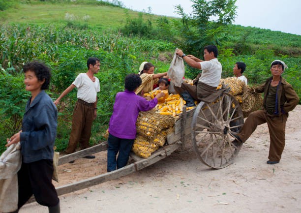 Loat anh gay ngo ngang ve cuoc song vung nong thon Trieu Tien-Hinh-12