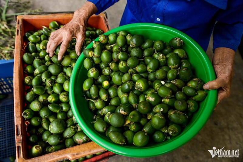 Trung Quoc mua cau lam keo ban sang cho Viet 3,3 trieu/kg