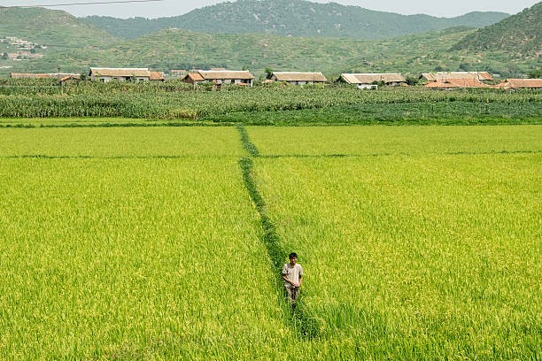 Can canh cuoc song thuong nhat cua nguoi dan o Trieu Tien-Hinh-9