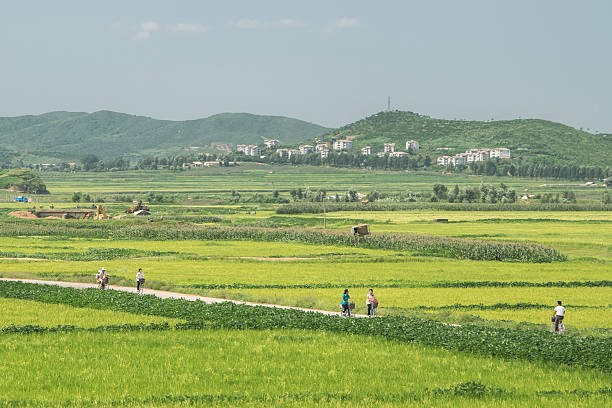 View - 	Hé lộ cuộc sống ở nông thôn Triều Tiên nhiều năm trước