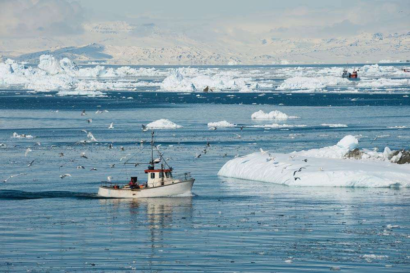 Su that thu vi ve dao Greenland co the ban chua biet-Hinh-6