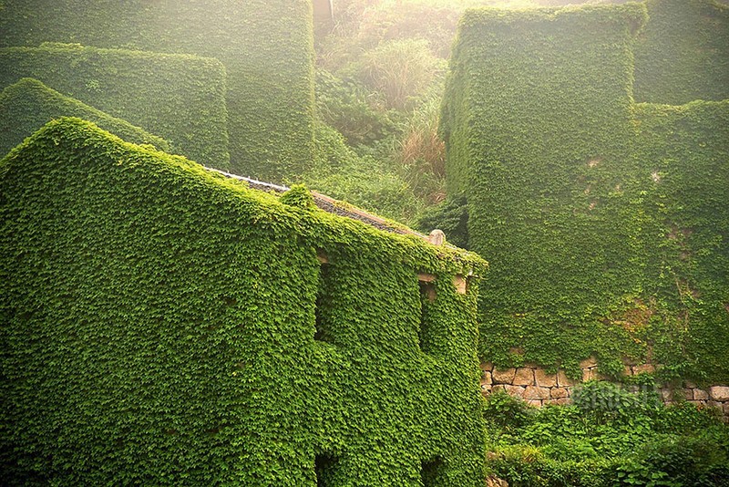 Canh tuong sung sot tai lang chai bo hoang noi tieng Trung Quoc-Hinh-4