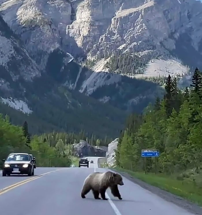 Top dieu “doc nhat vo nhi” o Canada khien ban sung sot-Hinh-13