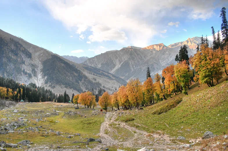 Kham pha kinh ngac ve vung dat Kashmir co the ban chua biet-Hinh-4