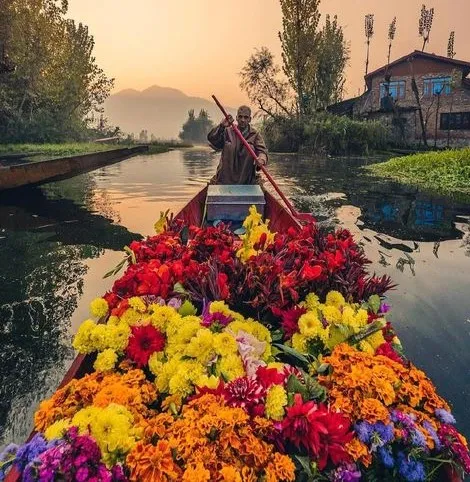 Kham pha kinh ngac ve vung dat Kashmir co the ban chua biet-Hinh-6