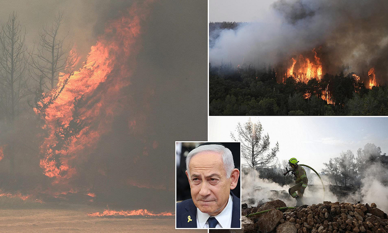 Cháy rừng lớn nhất lịch sử, Israel ban bố tình trạng khẩn cấp Chay rung lon nhat lich su, Israel ban bo tinh trang khan cap