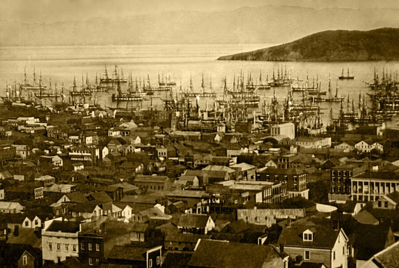 Con sot vang bien San Francisco thanh do thi sam uat the nao?-Hinh-5