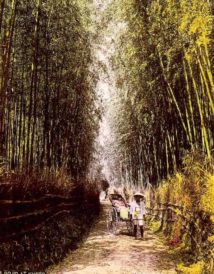 Anh cuc hiem he lo cuoc song o Nhat Ban nhung nam 1800-Hinh-14