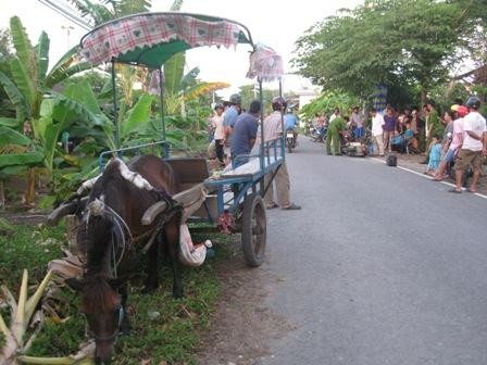 Dinh toi ngua keo xe gay tai nan chet nguoi