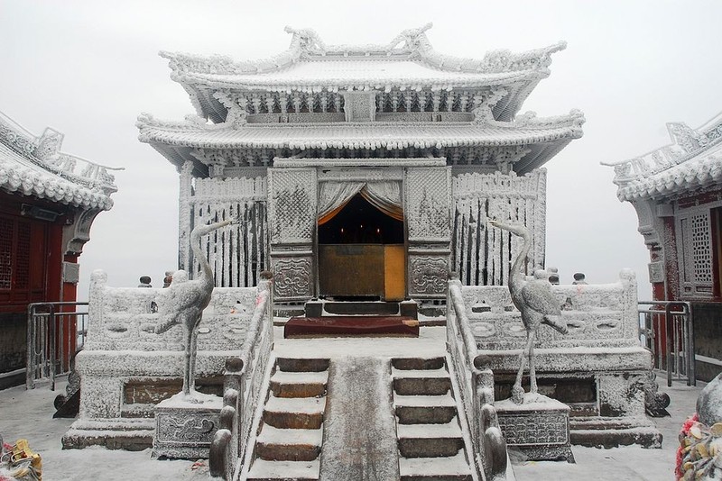 Ngan ngo ngam tuyet roi phu trang nui Vo Dang-Hinh-7