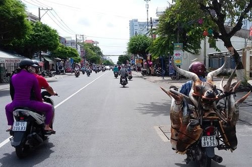 Ro ban dau linh duong de “tru ta“