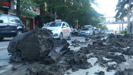 Tim ra thu pham do bun ngap duong Ha Noi