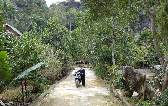 Bo ban ghe tu goc cay Gu huong 3.500 nam tuoi