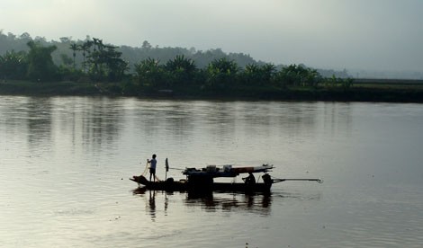 Rung ron chuyen rua khong lo dim chet trau mong giua song Hong