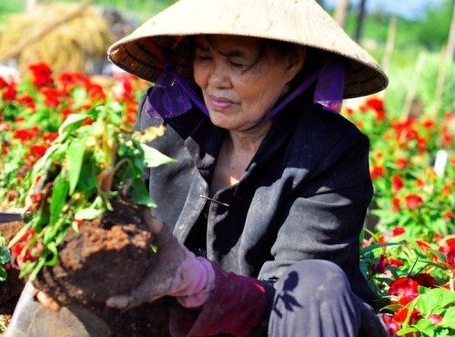 Tin moi vu hang ngan chau hoa tet bi pha nat trong dem