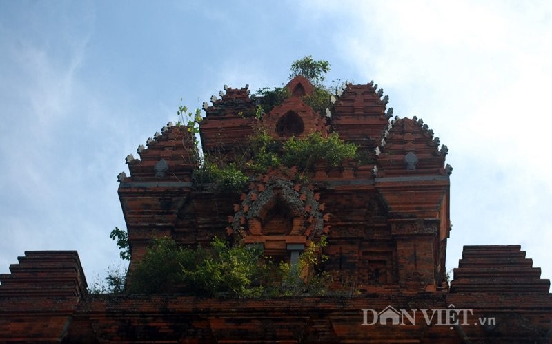 Bi mat ve Thap co Banh It, “tieng vong” nguoi xua-Hinh-6