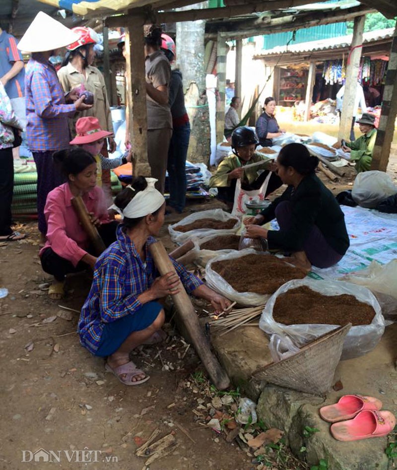 La lung noi dan ba nghien thuoc lao nhu nghien... ma tuy!