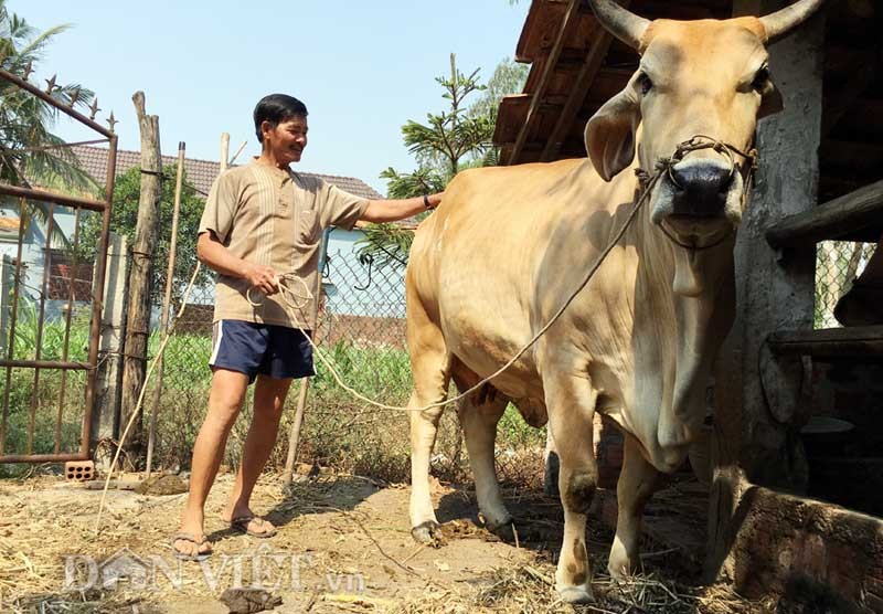 “Tron mat” be 9 thang tuoi nang gan gap doi bo truong thanh-Hinh-5