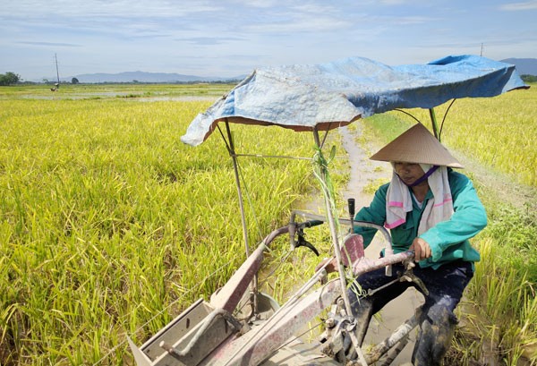 Lap dieu hoa cho... lon de chong nang nong-Hinh-2