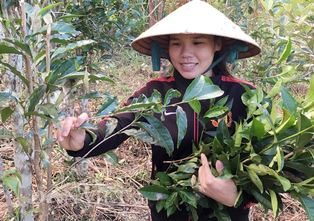 Diem mat nhung san vat noi cong troi Quang Ngai-Hinh-4