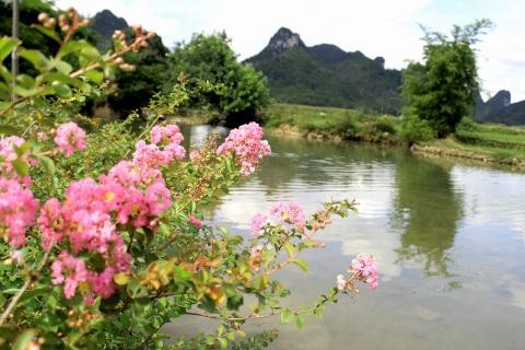 Noi trau bo co le hoi nghi duong rieng hang nam