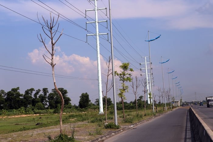 Ha Noi Cay xanh hoa cui kho tren duong nghin ty