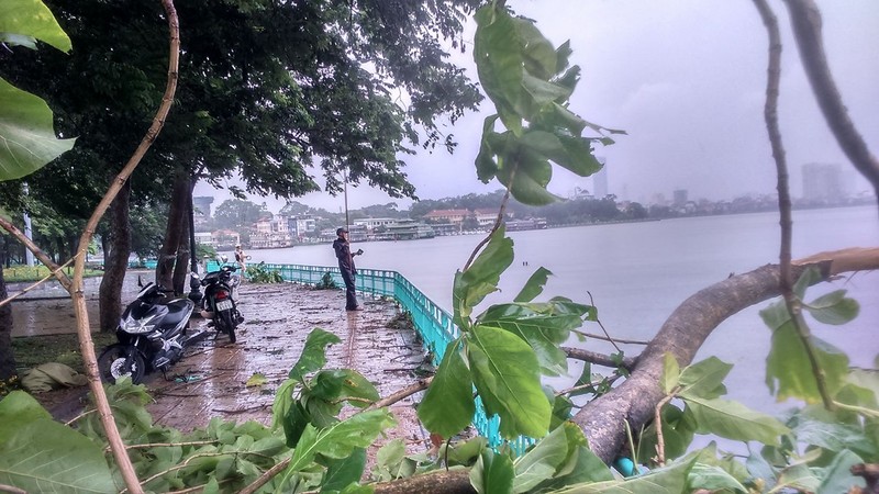 Chum anh: Giua troi mua bao, di cau ca Ho Tay-Hinh-8