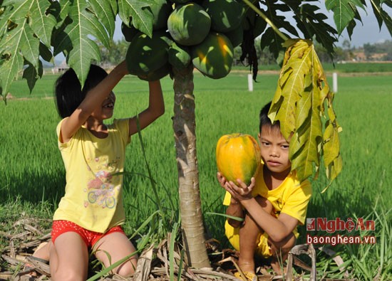 Nguoi dan Thanh Chuong trong du du Thai hai ra tien-Hinh-4