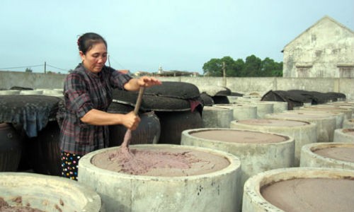 Lang che bien thuy san hap hoi sau su co Formosa